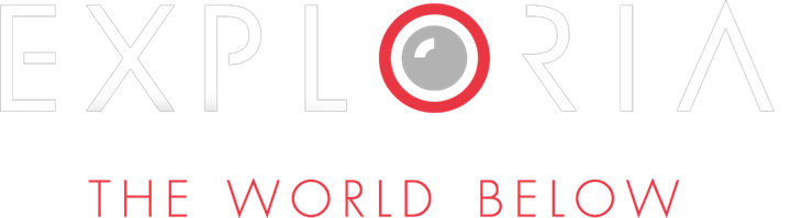 Exploria — The World Below